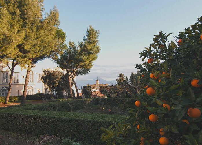 Giardini e spazi esterni Casa Tolentino